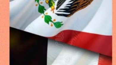 صورة سفير المكسيك بالقاهرة يعلن مشاركة فيلمين مكسيكيين فى مهرجان القاهرة السينمائى 