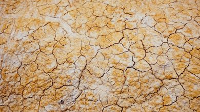 صورة الجفاف في إسبانيا خطر صامت: يبدأ عام 2022 باعتباره ثاني عام هيدرولوجي جاف في هذا القرن