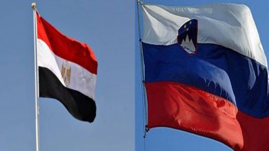 صورة مصر وسلوفينيا يحتفلان بمرور ثلاثين عاماً على إقامة العلاقات الدبلوماسية