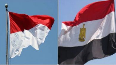 صورة مصر تُعرب عن تعازيها فى ضحايا الزلزال فى إندونيسيا